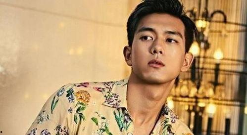 娱乐圈吃瓜男明星,揭秘吃瓜男明星背后的故事