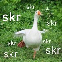 用吃瓜群众造句,揭秘网络围观背后的社会现象