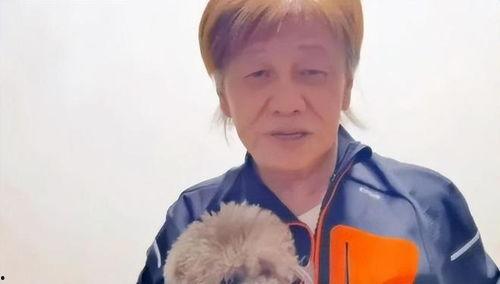 娱乐圈吃瓜解说一口气看完,一网打尽明星八卦，速览娱乐圈风云变幻