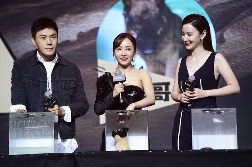 娱乐圈吃瓜合集最新