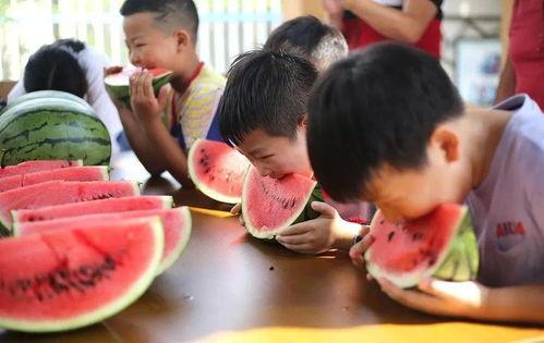 吃瓜大赛图片,一场视觉盛宴的狂欢瞬间